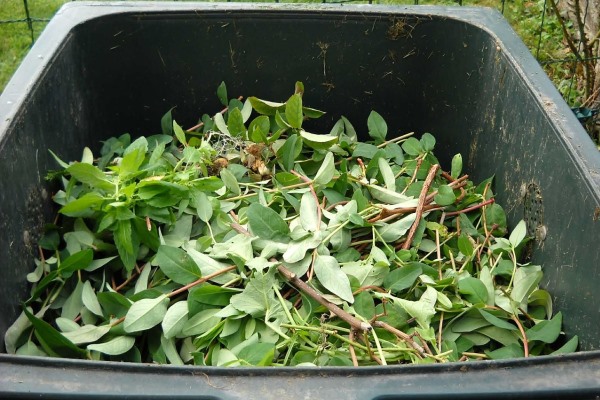 cara pembuatan pupuk kompos dari daun sisa