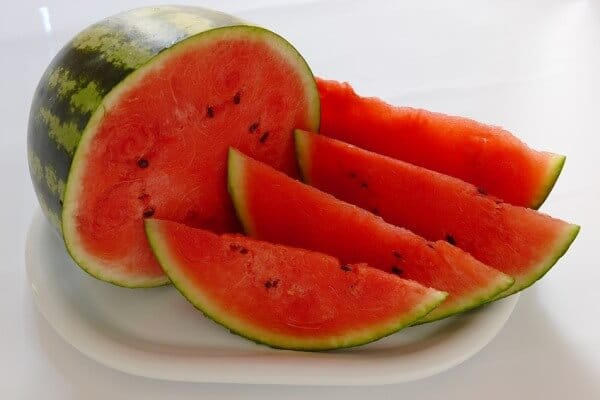 cara budidaya semangka